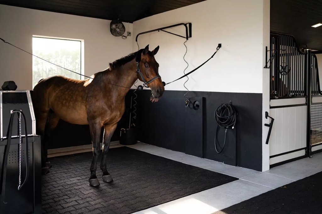 Horse stable mats